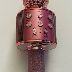 Gabba Goods Bluetooth Karaoke Microphone Speaker